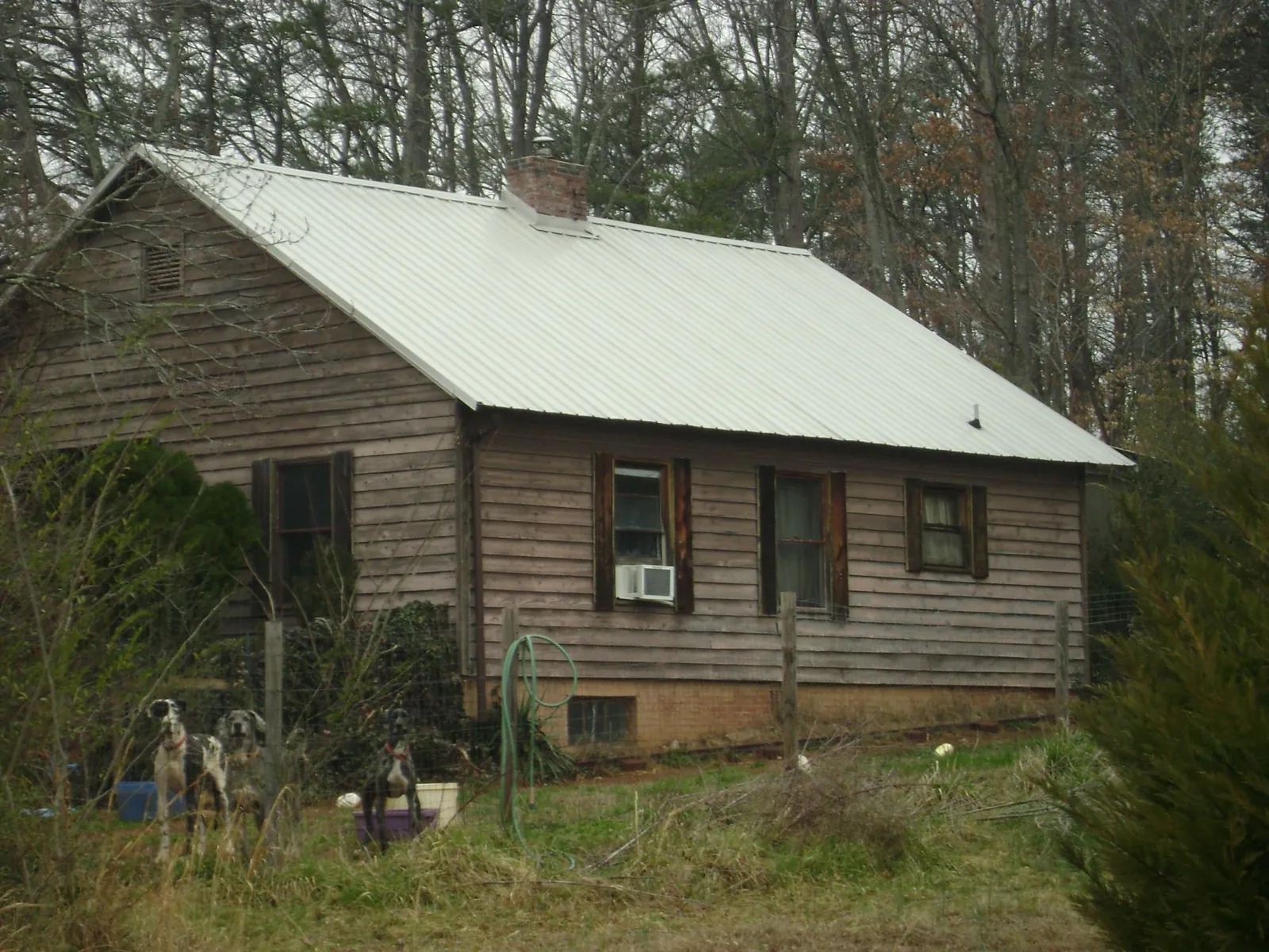 White metal roof on an old wood sided farmhouse, from a Asphalt Shingle Roof Repair job in Saint Paul